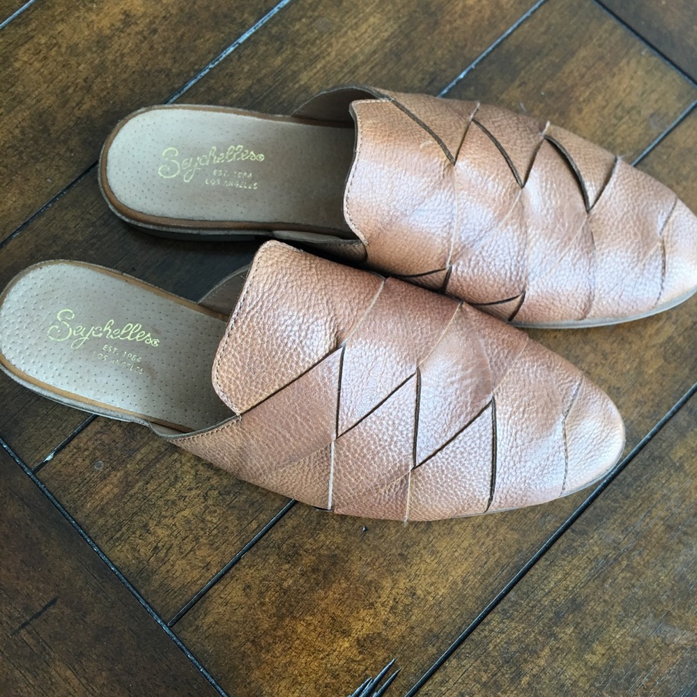 Seychelles survival mule